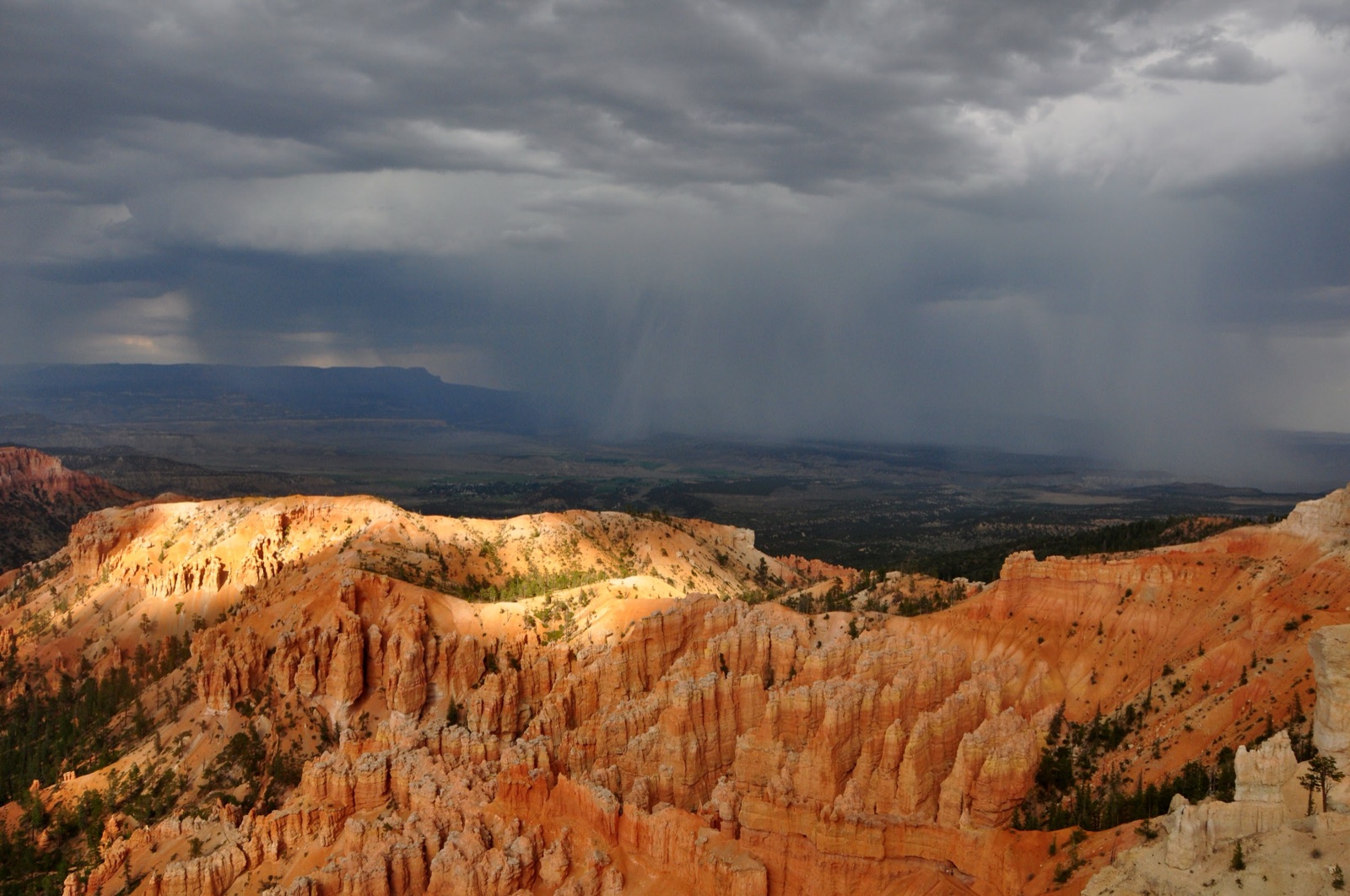 Storm light over the Bryce amphitheatre: rain falling across the plateau behind, while low sun rakes the orange hoodoos in the foreground.